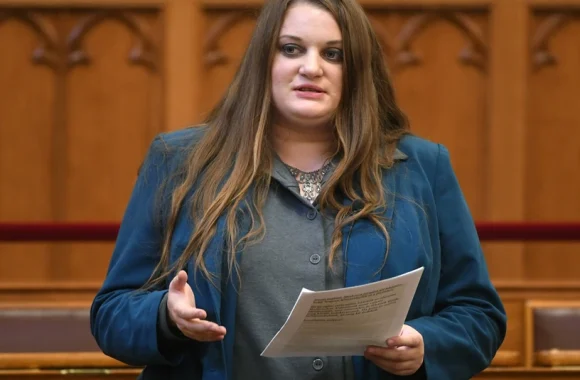 Megütötték a Momentum képviselőjét szórólapozás közben – Előállították a tettest