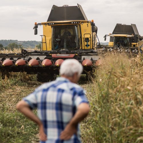 Milyen kihívások elé néz a magyar agrárium munkaerőpiaca? – Szakadékok és kilátások