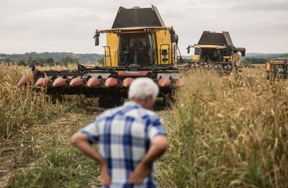62595529_3df27a5c1096fb6ab581aafccab498da_wm Milyen kihívások elé néz a magyar agrárium munkaerőpiaca? – Szakadékok és kilátások