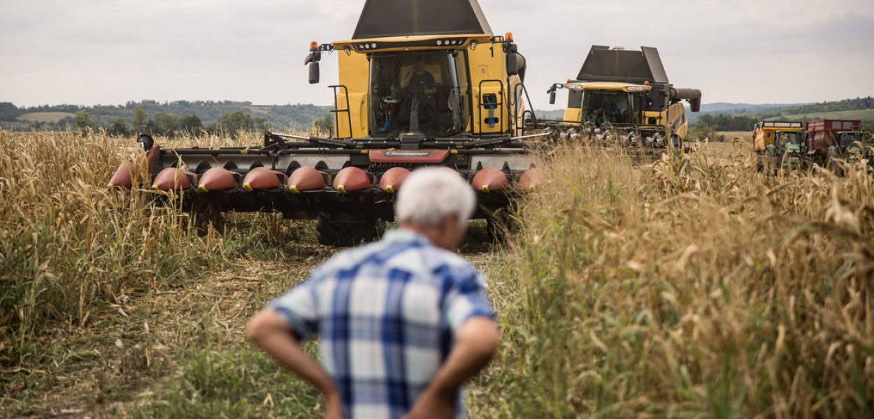 Milyen kihívások elé néz a magyar agrárium munkaerőpiaca – Szakadékok és kilátások